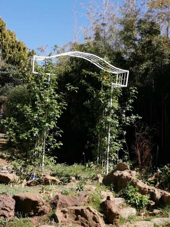 Lucolo Palace B&B Aliwal North Kültér fotó